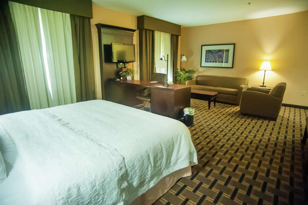 Hampton Inn & Suites Palestine Cameră foto